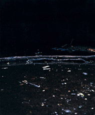 &raquo;TO THE MOON&laquo;, 2008